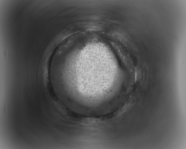 X0000089710339200707121417