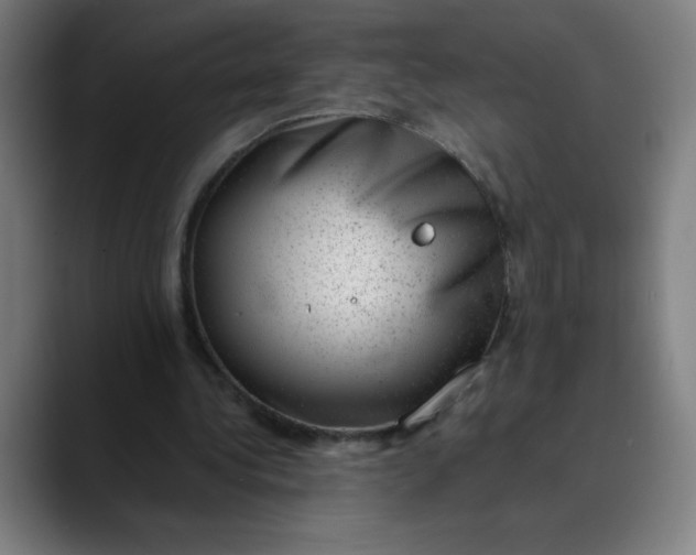 X0000089710340200707121417