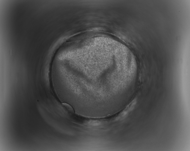 X0000089710341200707121417