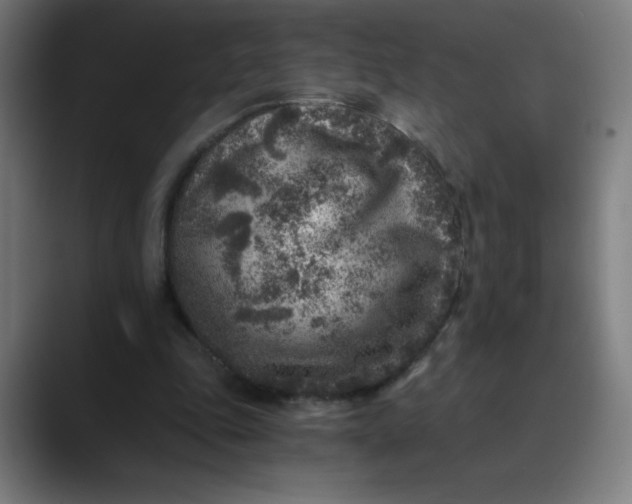 X0000089710343200707121417