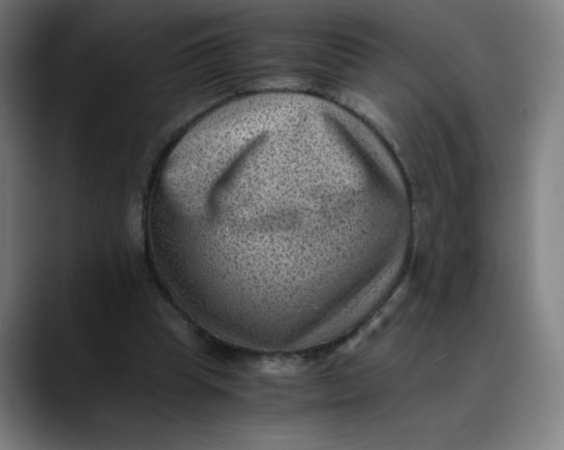 X0000089710345200707121417