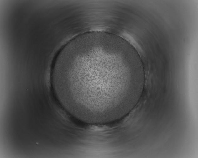 X0000089710346200707121417