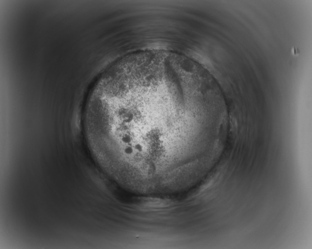 X0000089710347200707121417