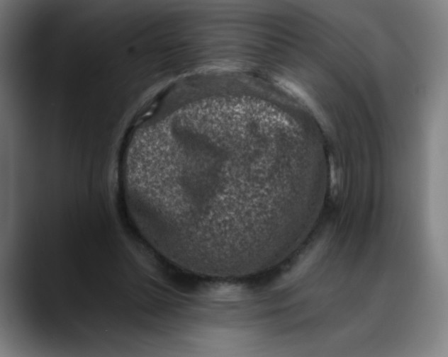 X0000089710348200707121417