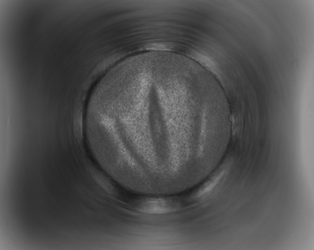 X0000089710349200707121417