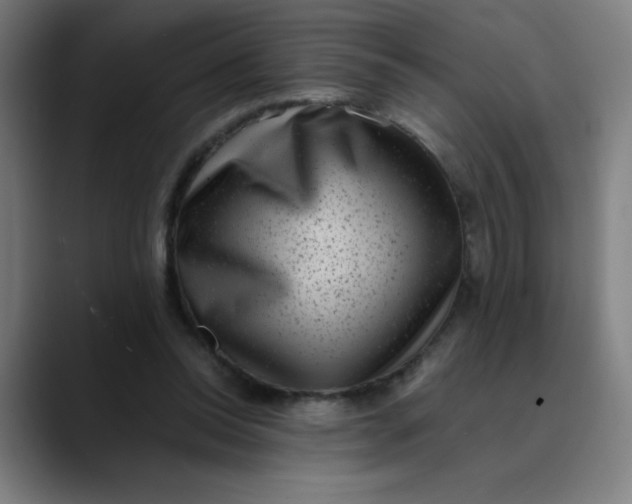 X0000089710350200707121417