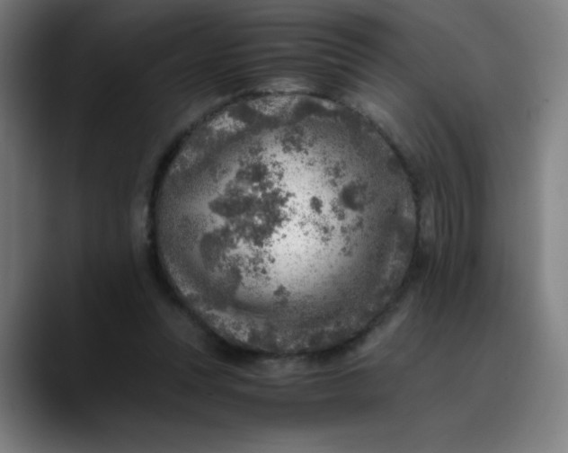 X0000089710351200707121417