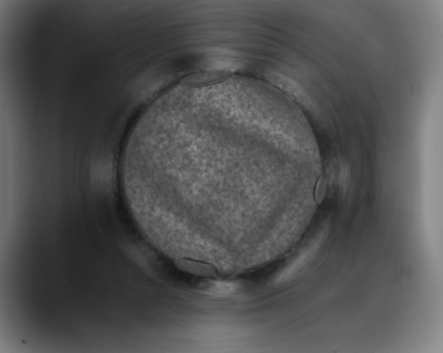 X0000089710352200707121417