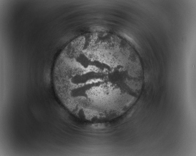 X0000089710353200707121417