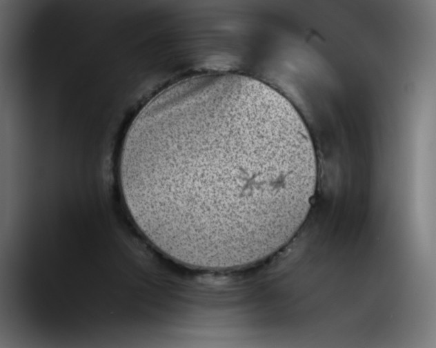 X0000089710354200707121417