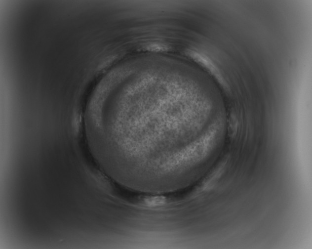 X0000089710355200707121417