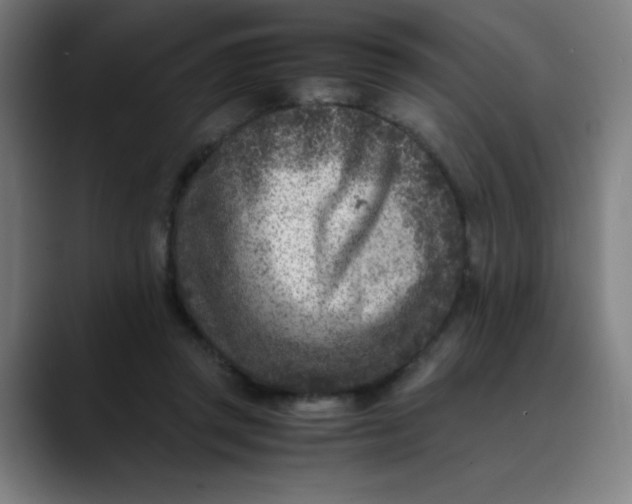 X0000089710357200707121417