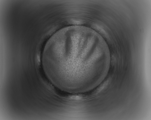 X0000089710358200707121417