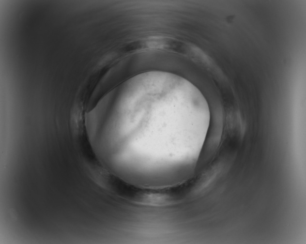 X0000089710360200707121417