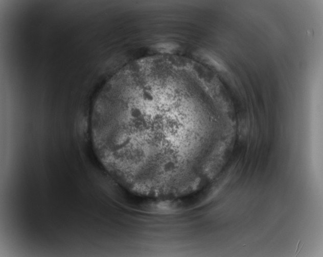 X0000089710365200707121417