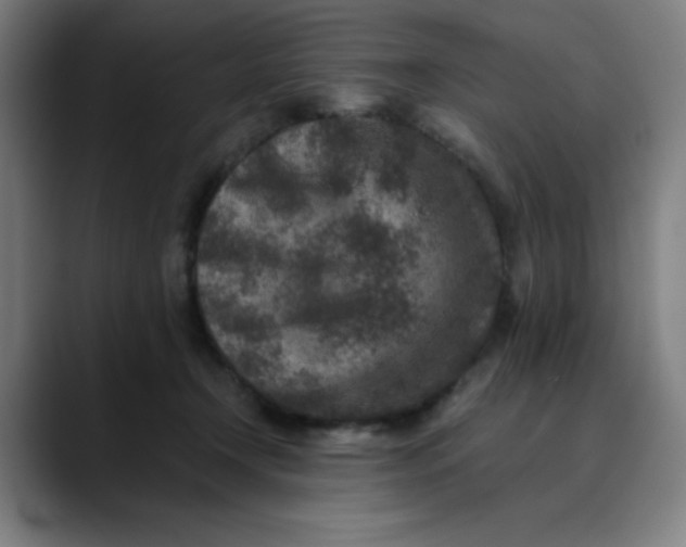 X0000089710366200707121417