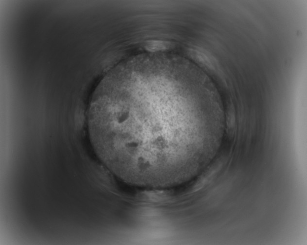 X0000089710367200707121417