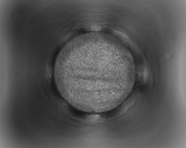 X0000089710374200707121417