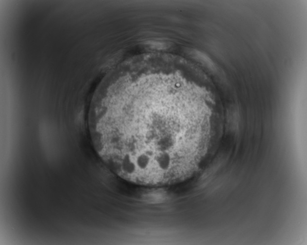 X0000089710377200707121417