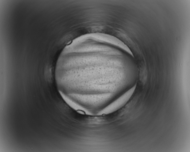 X0000089710378200707121417