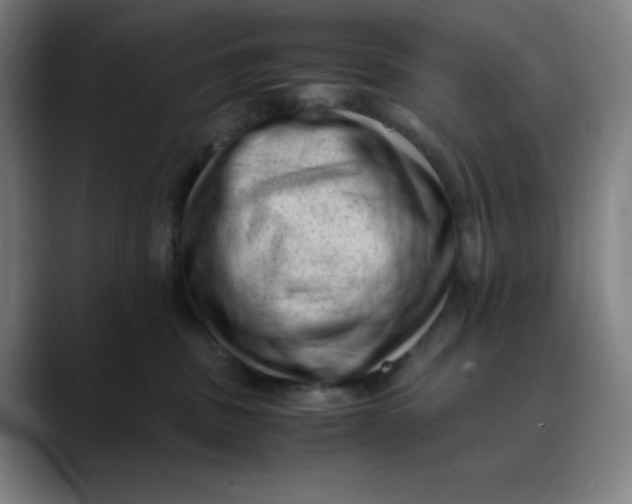 X0000089710379200707121417