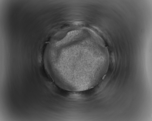 X0000089710380200707121417