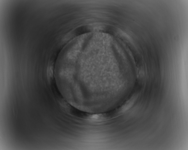 X0000089710382200707121417