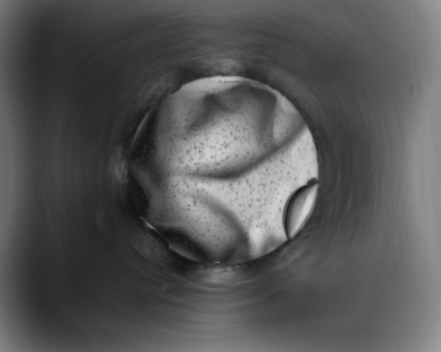 X0000089710384200707121417