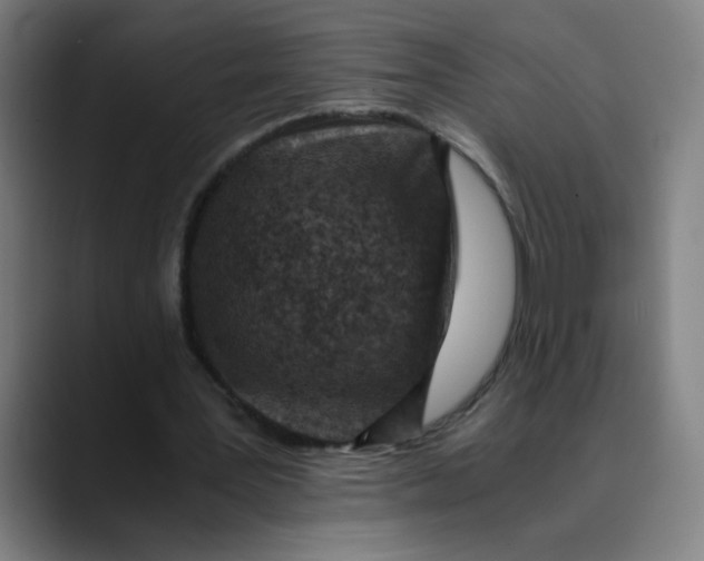 X0000089710387200707121416