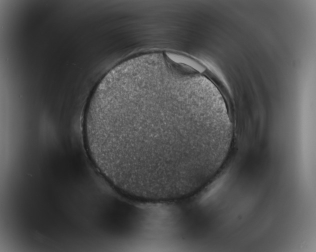 X0000089710389200707121416