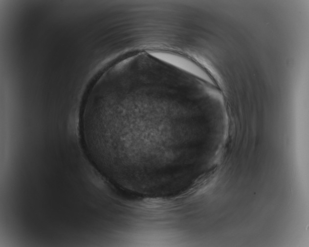 X0000089710391200707121416