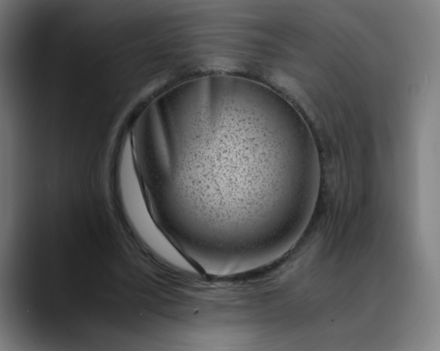 X0000089710395200707121416