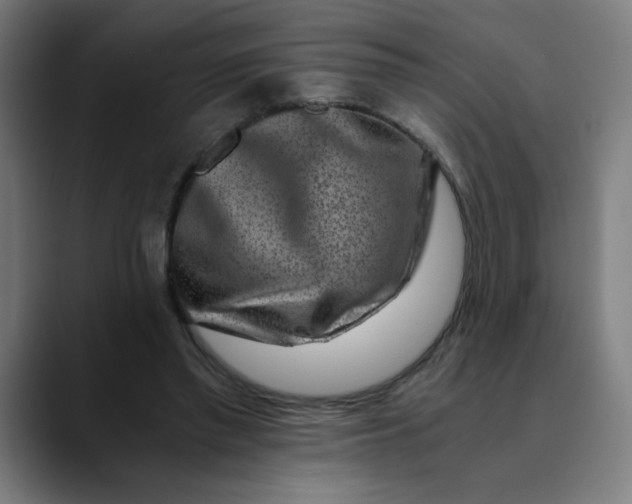 X0000089710397200707121416