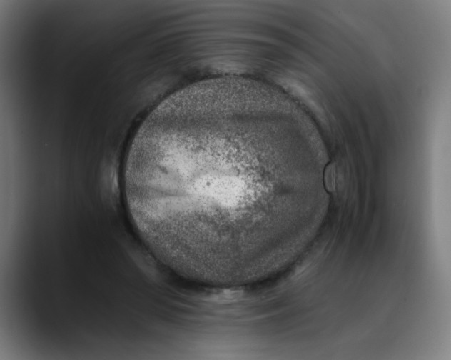 X0000089710398200707121416