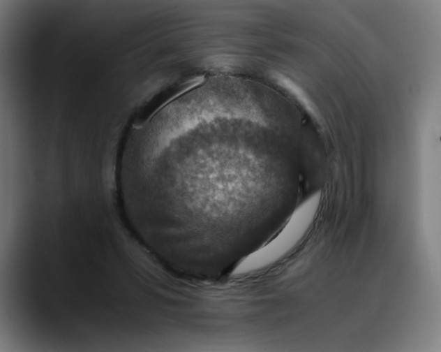 X0000089710399200707121416