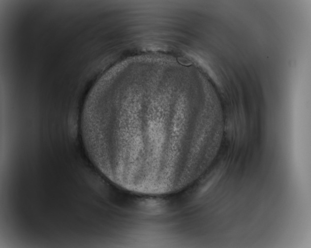 X0000089710402200707121416