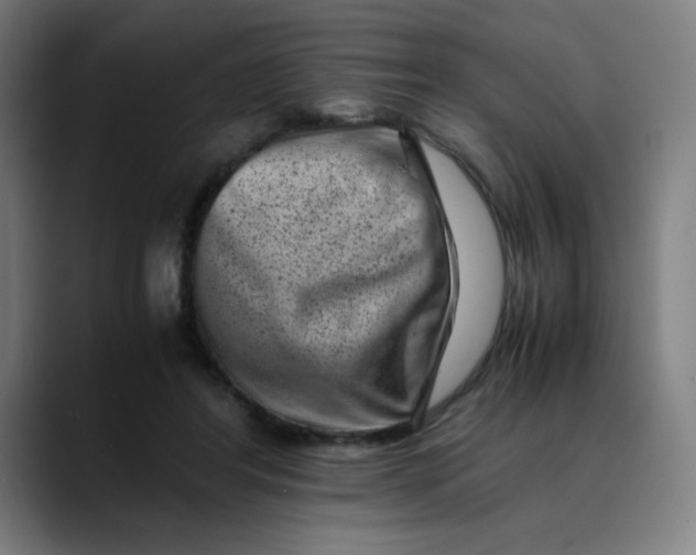 X0000089710404200707121416