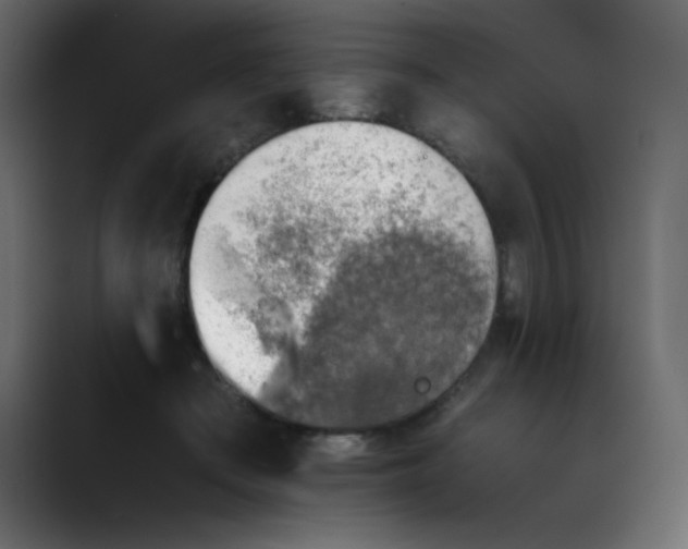 X0000089710409200707121416