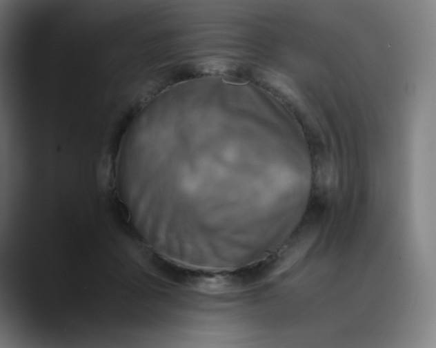 X0000089710411200707121416