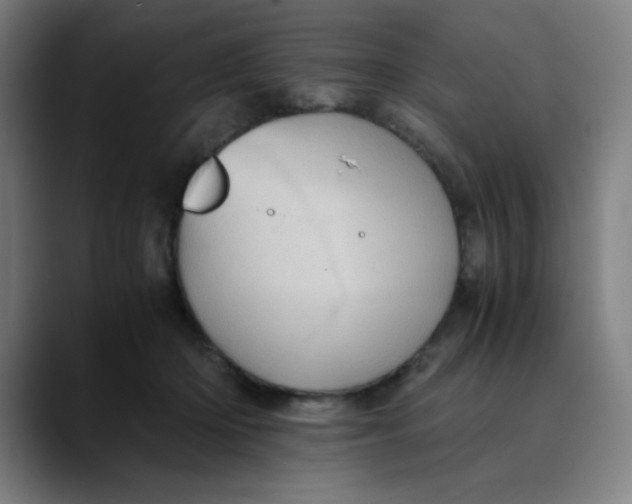 X0000089710414200707121416