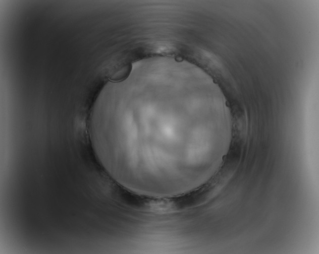 X0000089710415200707121416