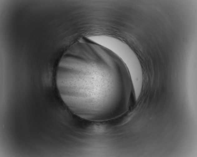 X0000089710416200707121416