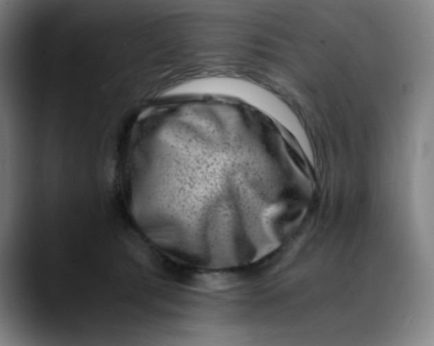 X0000089710417200707121416