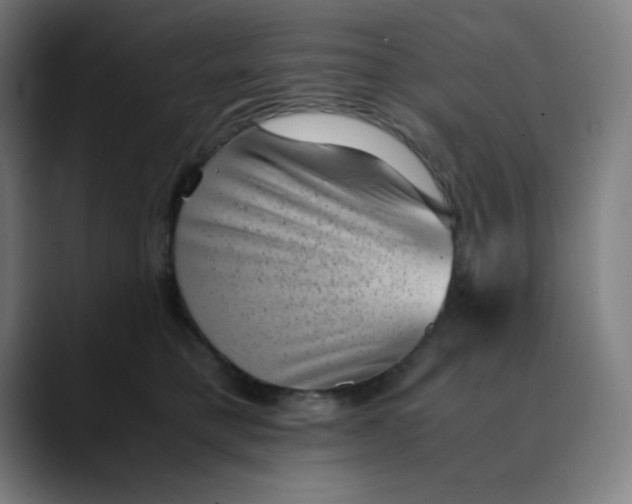 X0000089710421200707121416