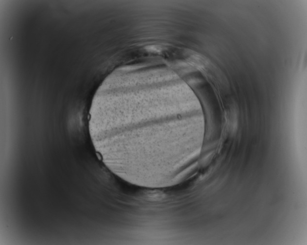 X0000089710424200707121416