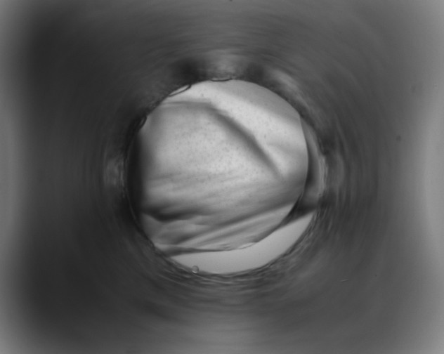 X0000089710425200707121416