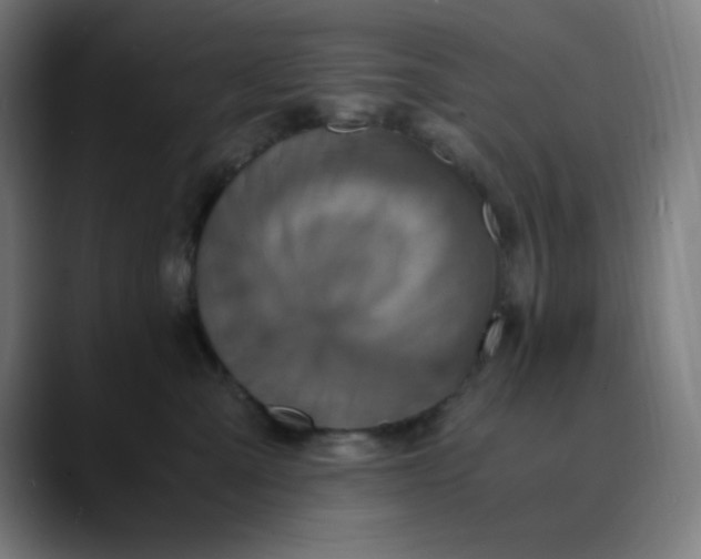 X0000089710427200707121416