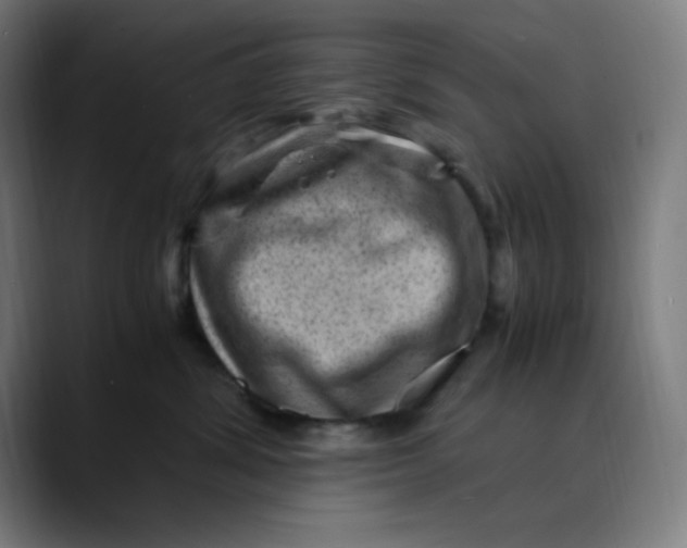 X0000089710428200707121416