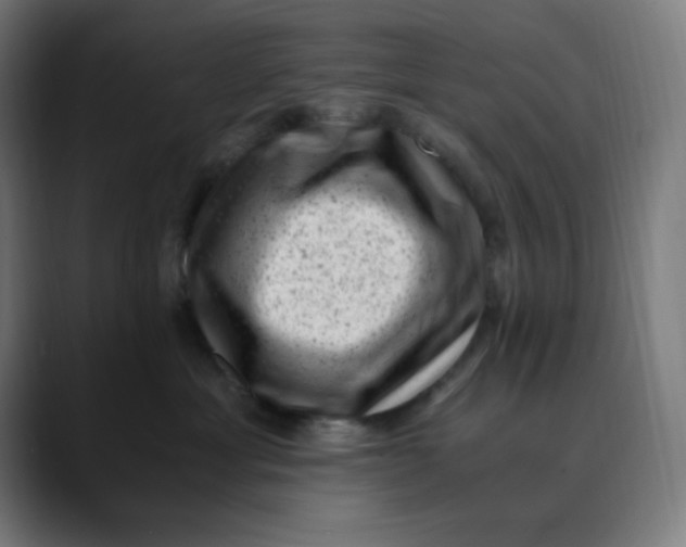 X0000089710429200707121416