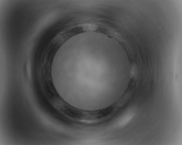 X0000089710431200707121416